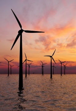 Climate change litigation update: Derivative claim dismissed